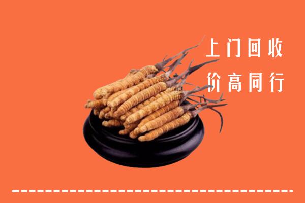 高价求购：连云港连云区回收散虫草