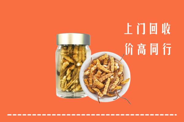 连云港连云区回收冬虫夏草