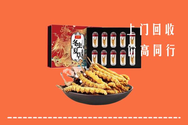 连云港连云区回收虫草